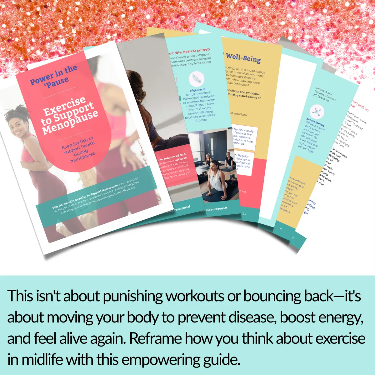 Exercise Guide