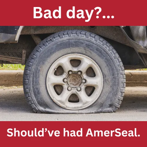 Flat tire - Bad Day? Should've had AmerSeal Tire Sealant