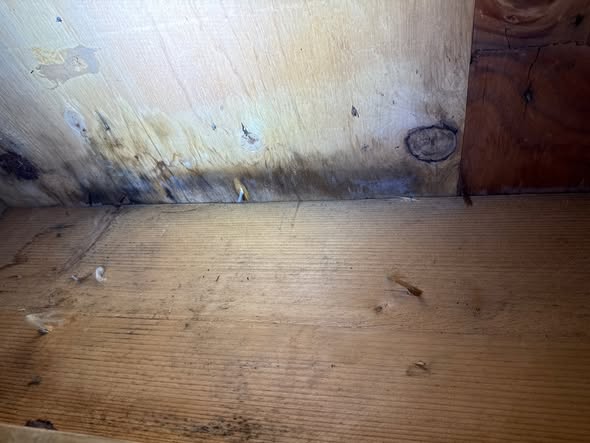 Close-up of a rusty white metal structure against blue sky