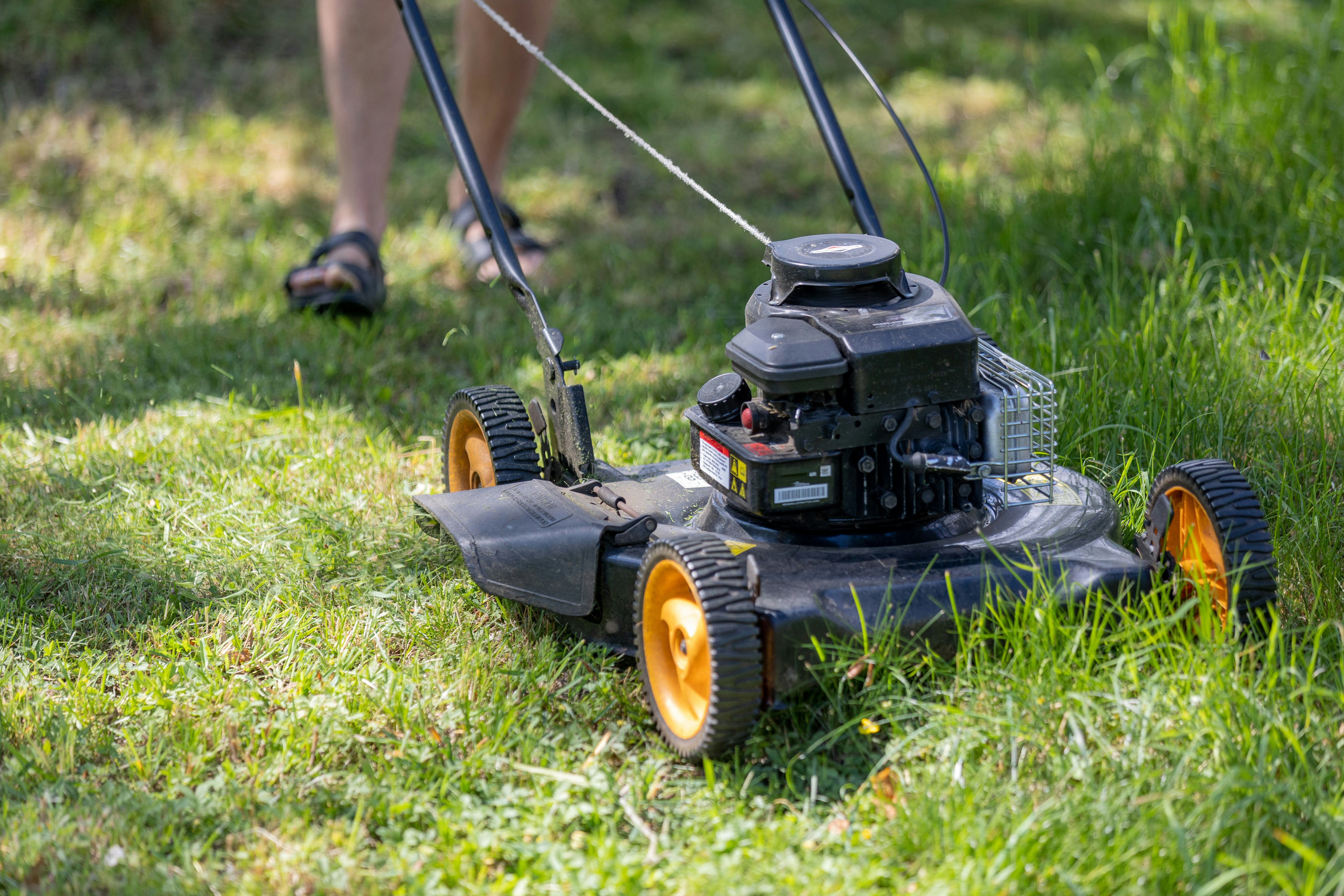grass being mowed by black lawn mower