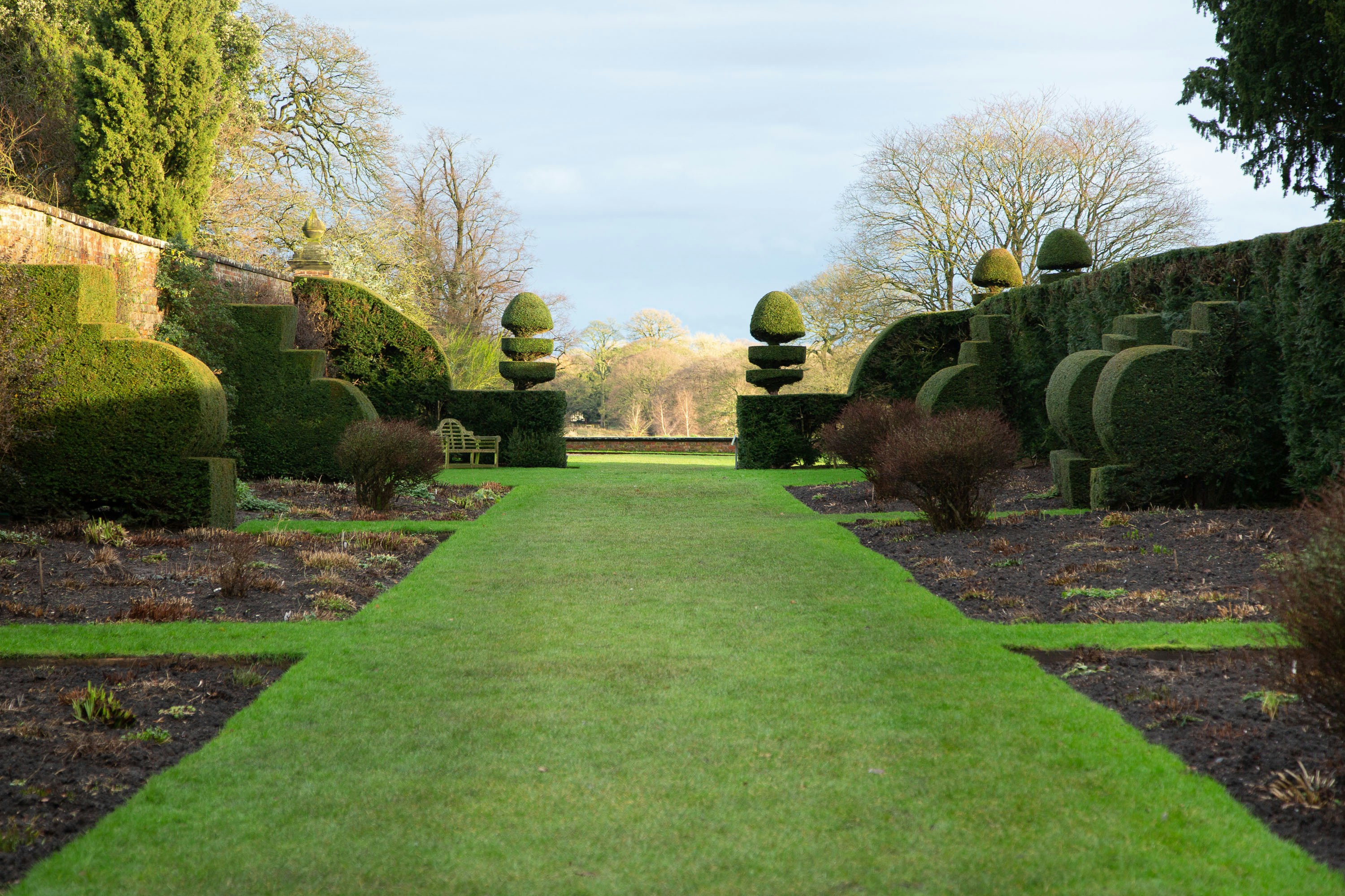 square grassy lawn that has soil on the side and hedges on the side hat have been sheared into different shapes