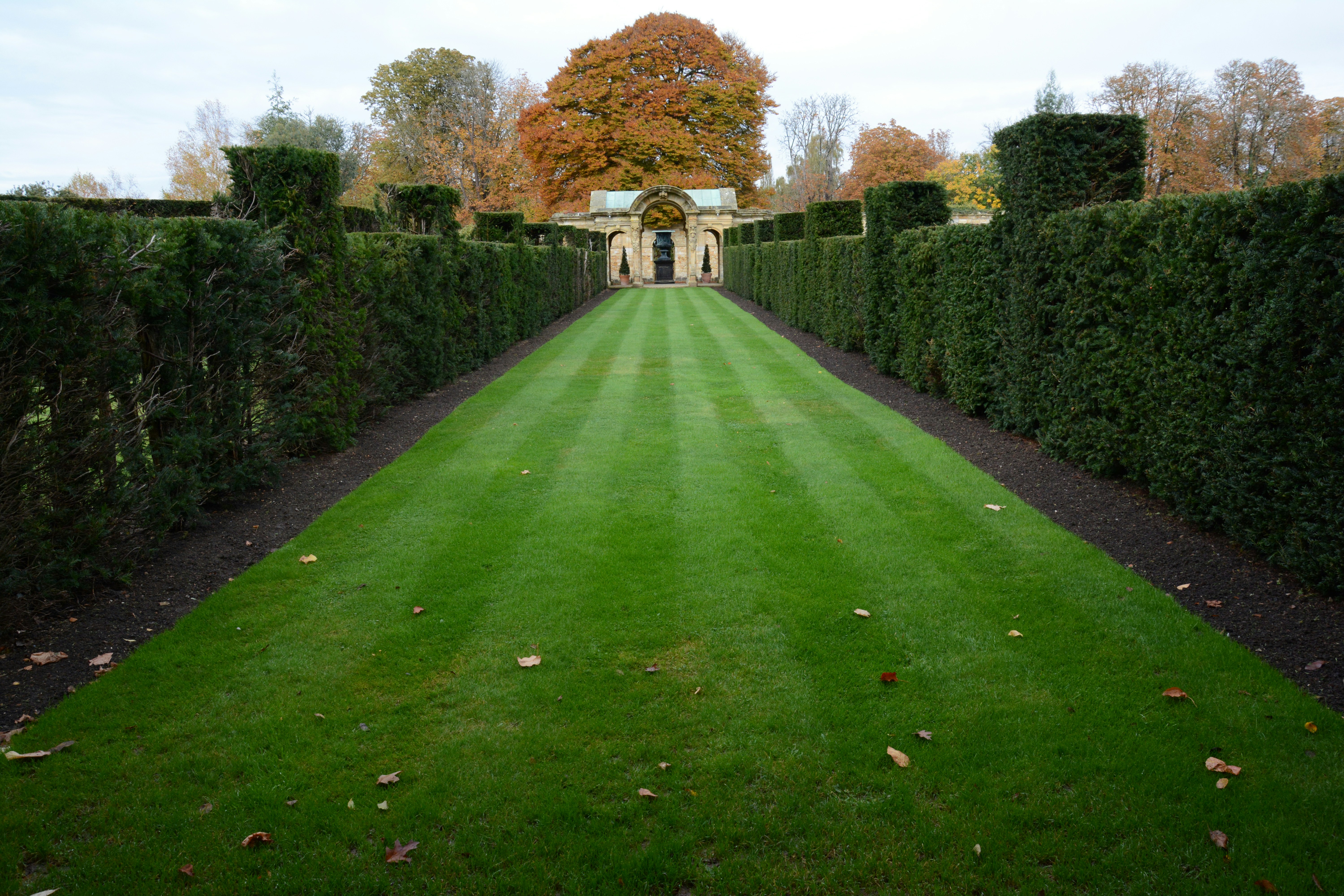 green lawn with hedges on the left and right
