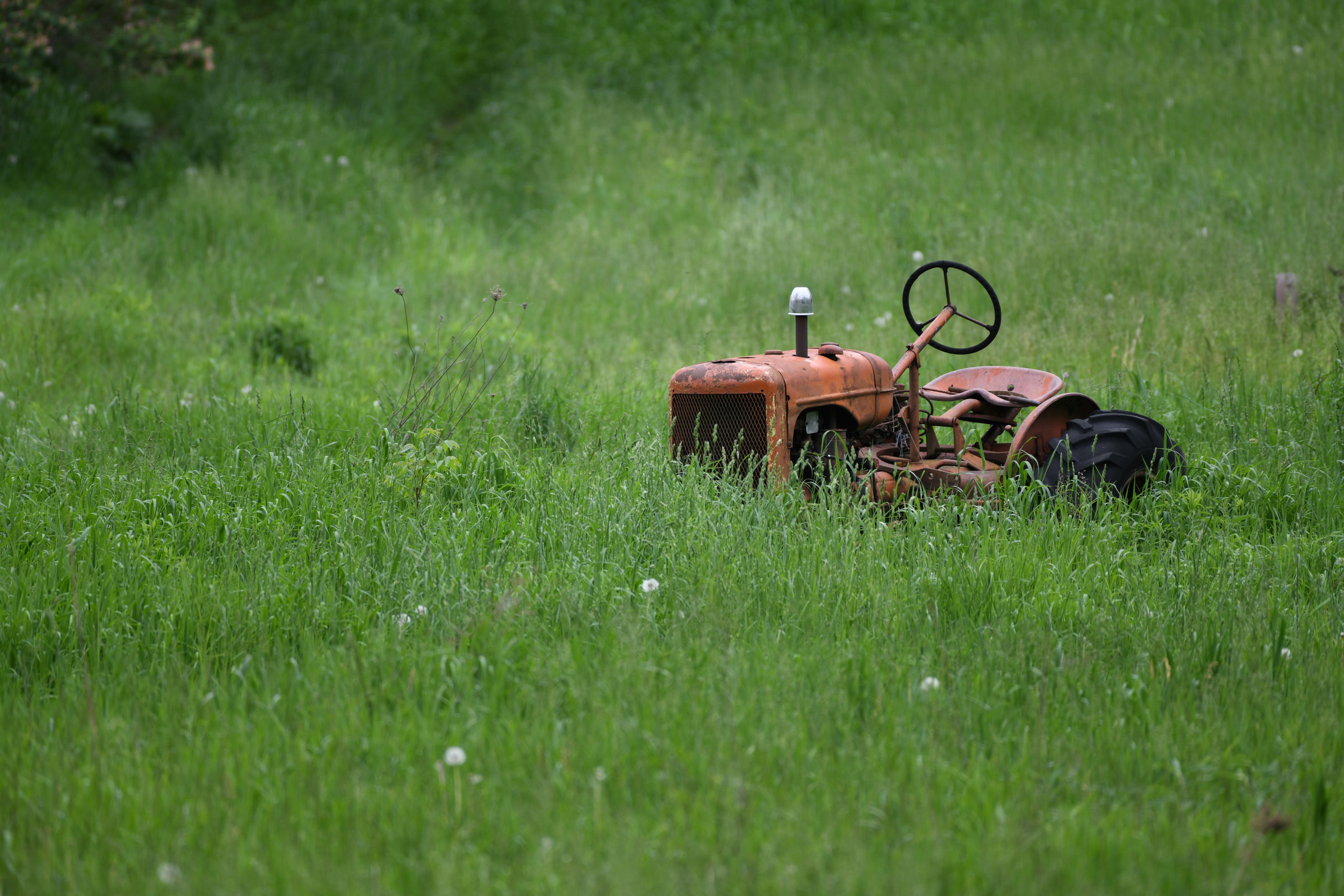 small brown lawn tractor on long grass