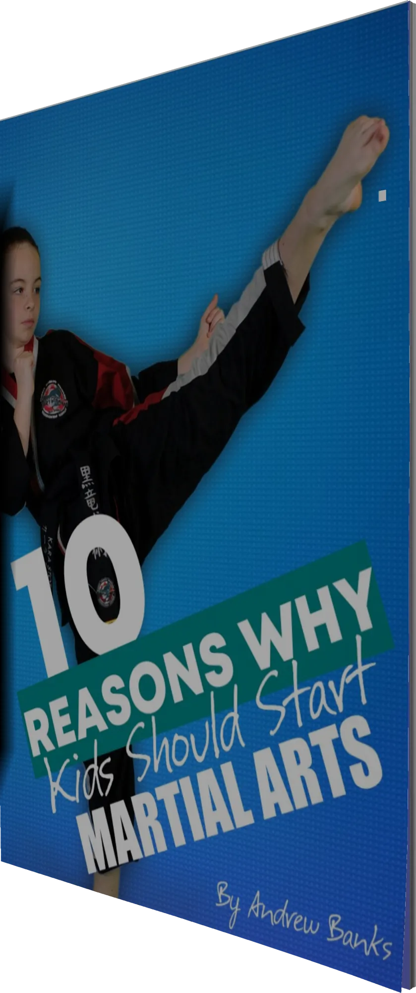 10 Reason Why Kids   Should Do Martial Arts
