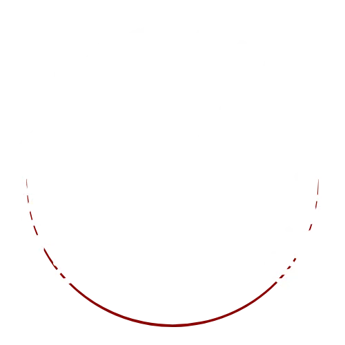 Cyber Freedom Fighters, Inc. Logo