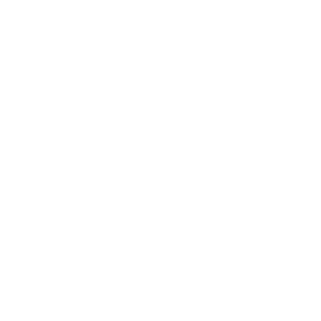 White graphic symbolizing Financial Security Services.