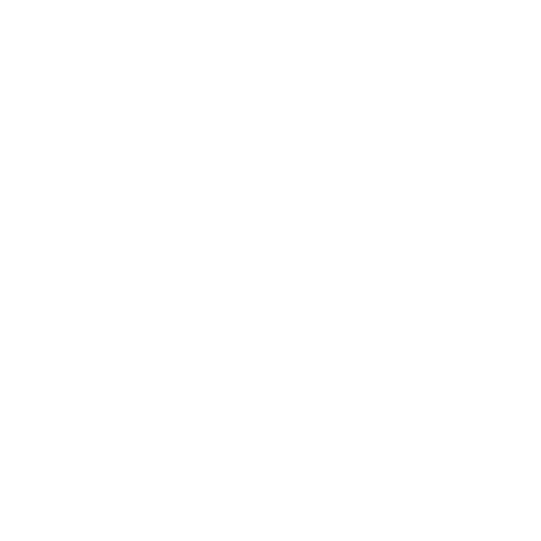 White graphic symbolizing Life Insurance Services