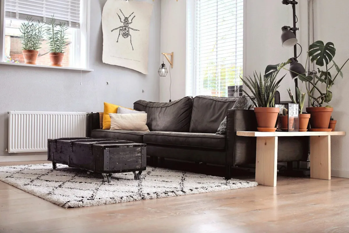Move In Move Out Cleaning in San Tan Valley, AZ by Desert Vibes Cleaning