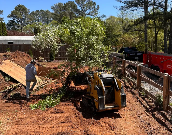 Alpharetta Land Clearing