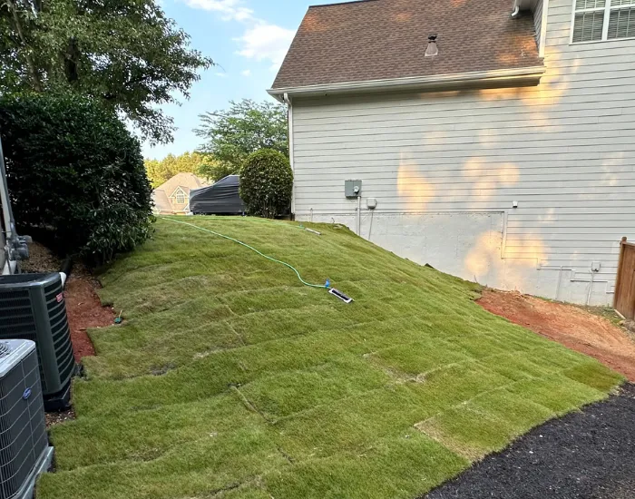 Cumming Sod Installation