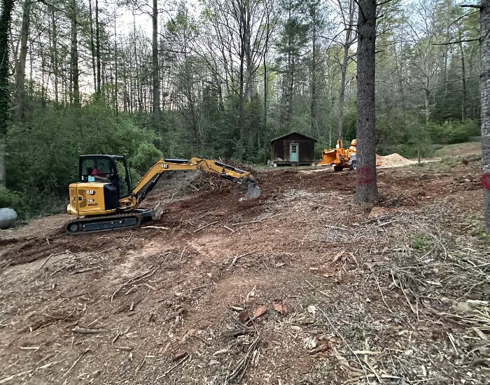 Milton Land Clearing