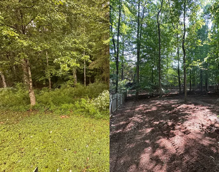 Milton Land Clearing