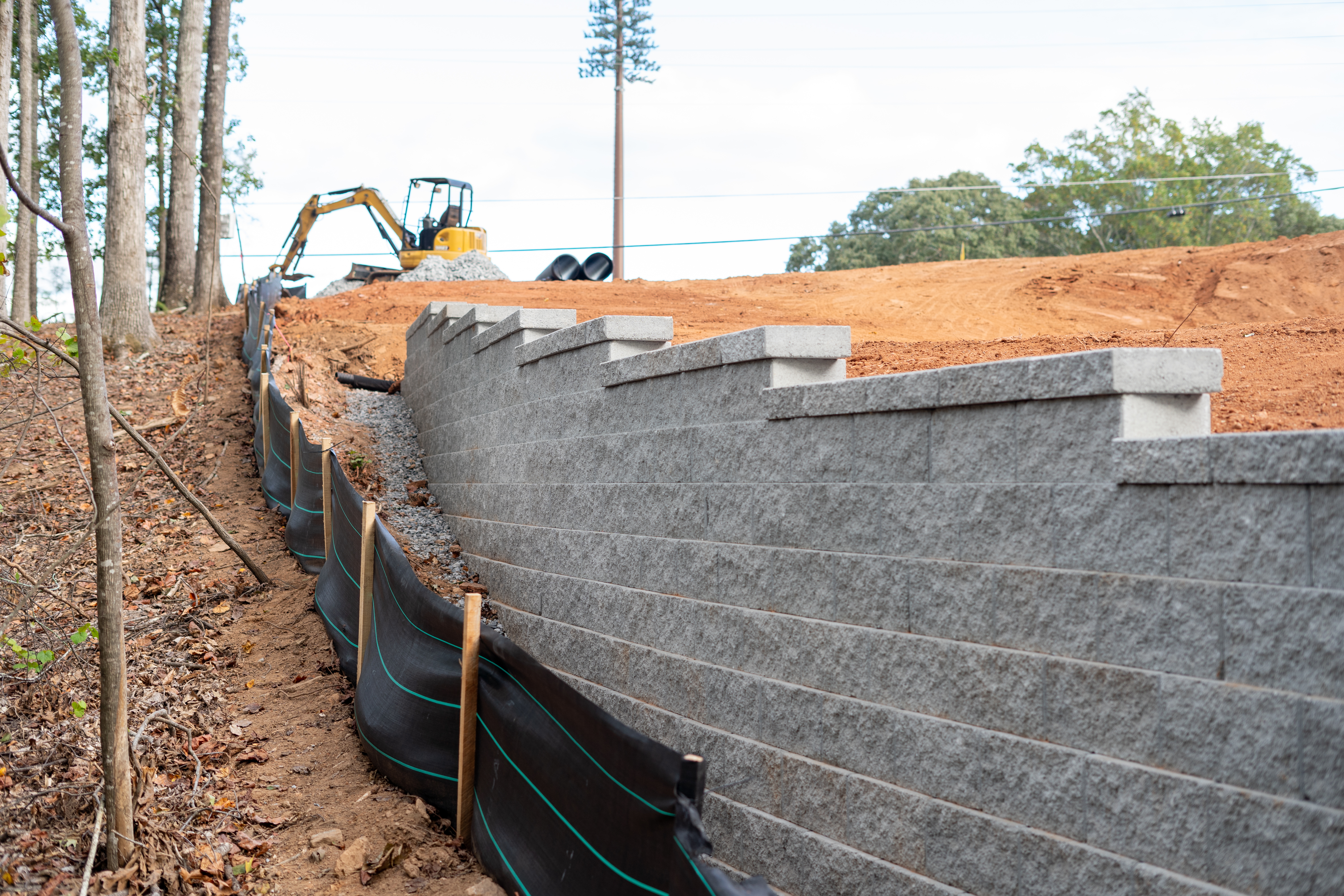 A tall green building with lots of windows