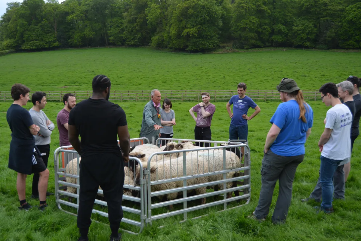 A group of people, mainly men standing around a small pen of sheep in the middle of a green field, with trees in the distant background. A shepherd is talking to them, gesturing towards the sheep in the pen.
