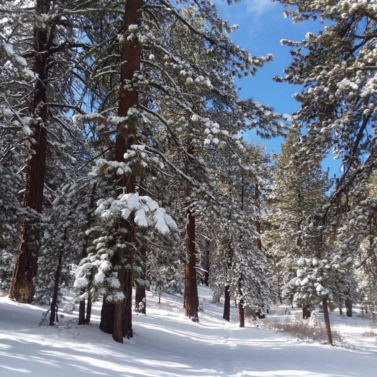 How to Winterize a Mobile Home