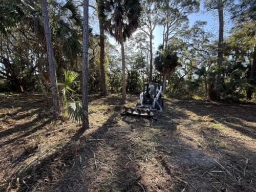 Lot Clearing & Brush Removal in Pequot Lakes