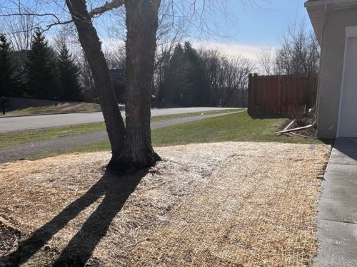 Nisswa Erosion Control Services