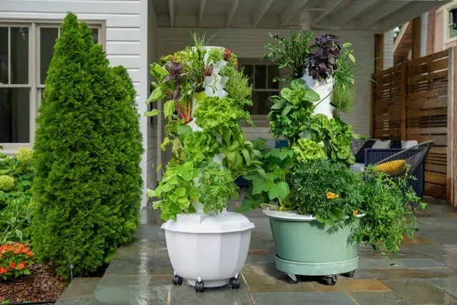Tower Garden aeroponic vertical gardening system