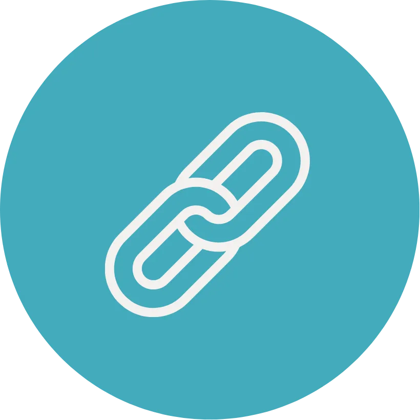 Link Icon