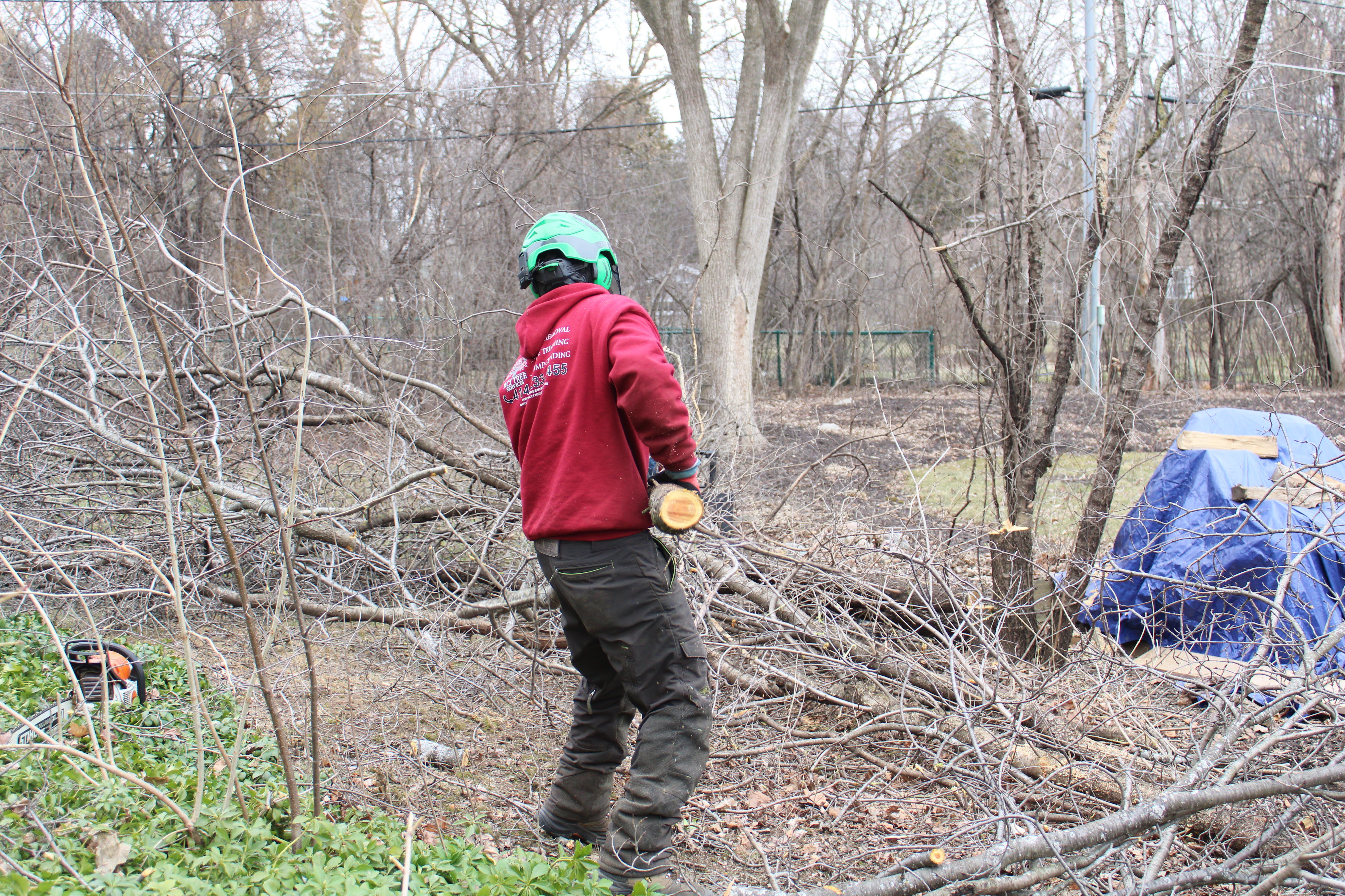 New Berlin Tree Trimming & Pruning
