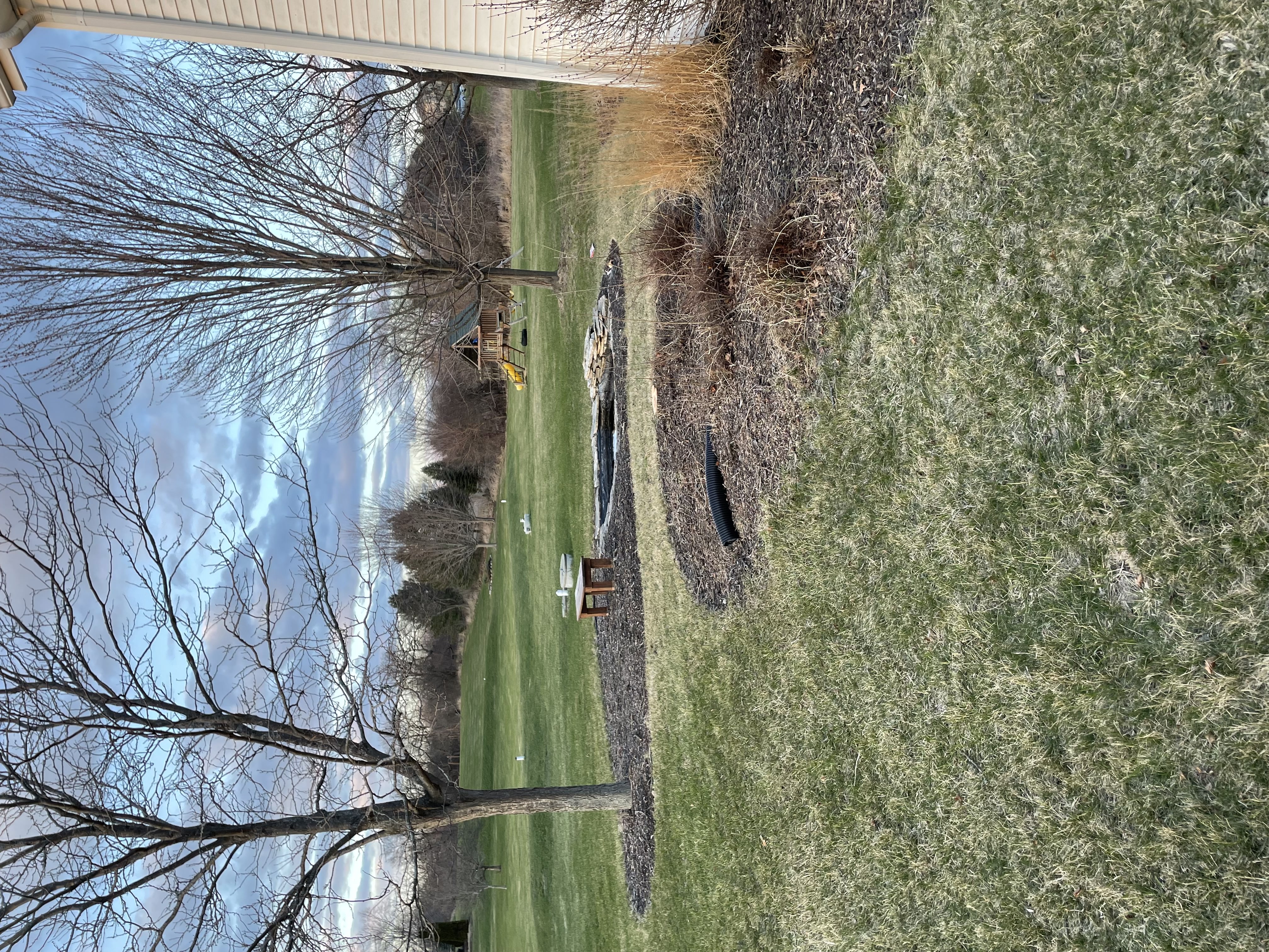 Pruning & Maintenance in New Berlin