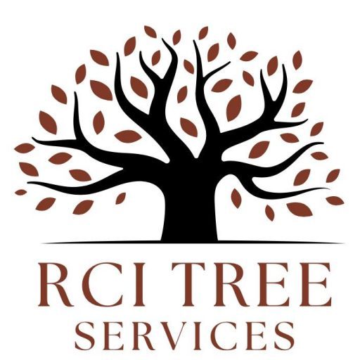 Tree Care New Berlin