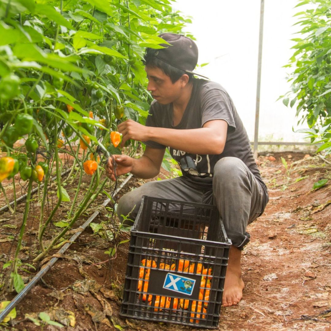 man in gray hoodie and black pants holding brown cardboard box