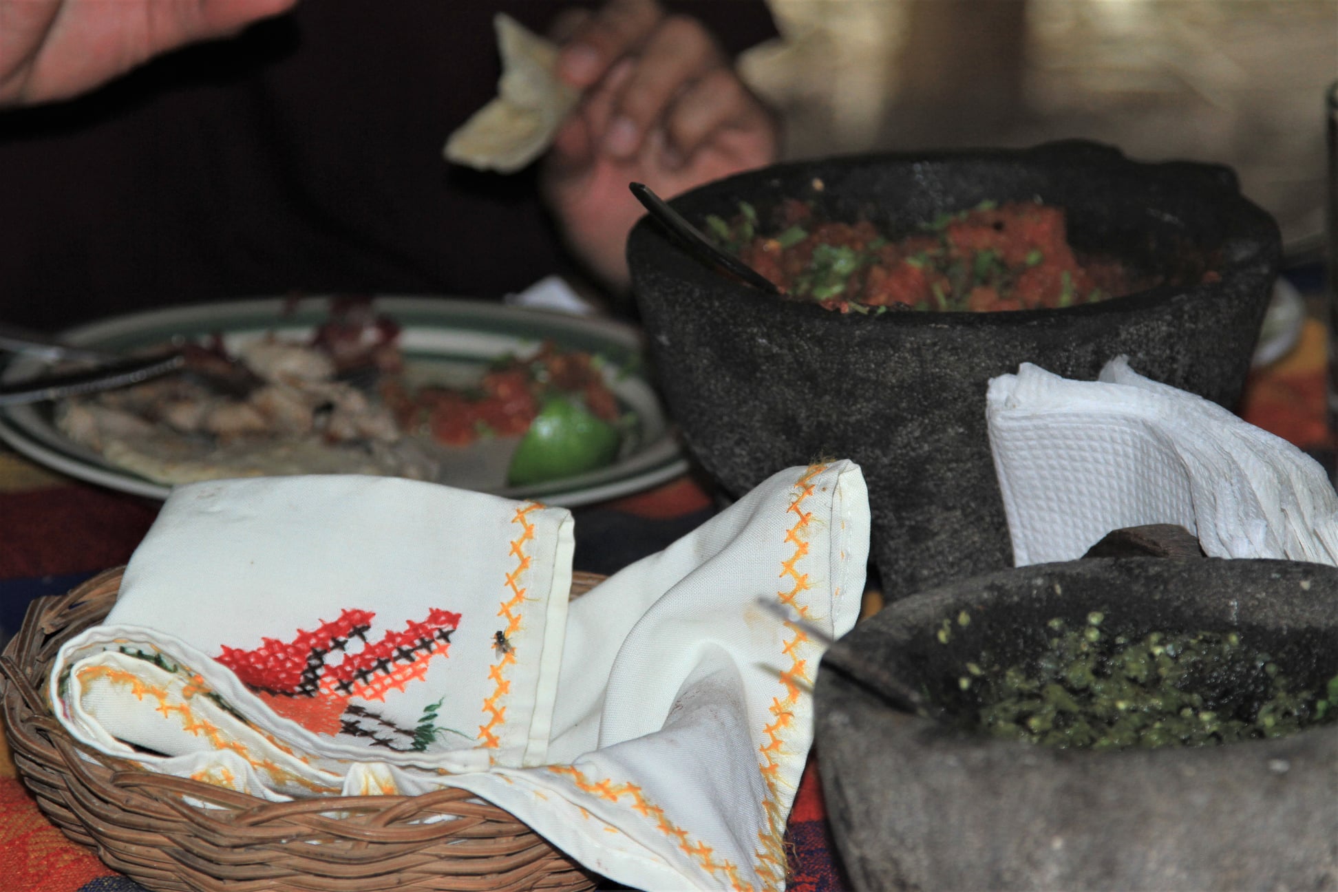 Lush green field with palm trees and a small hut.