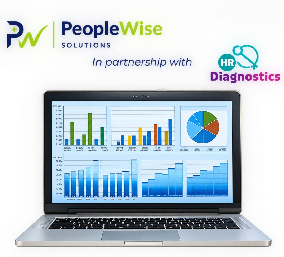 PeopleWise Solutions in partnership laptop