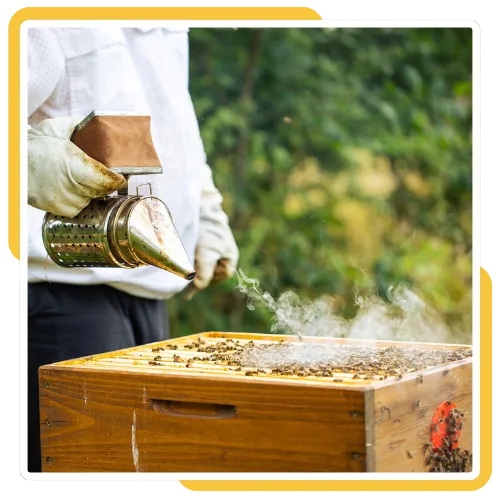 Safe bee hive removal in Escondido CA from a roof area