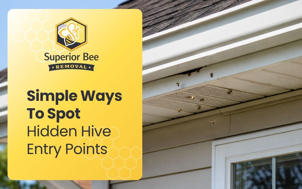 Simple Ways To Spot Hidden Hive Entry Points