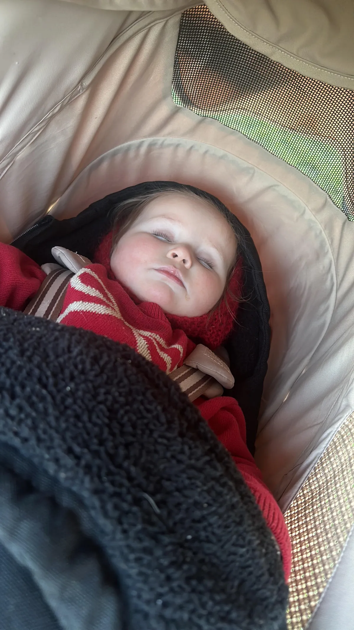 Baby Sleeping