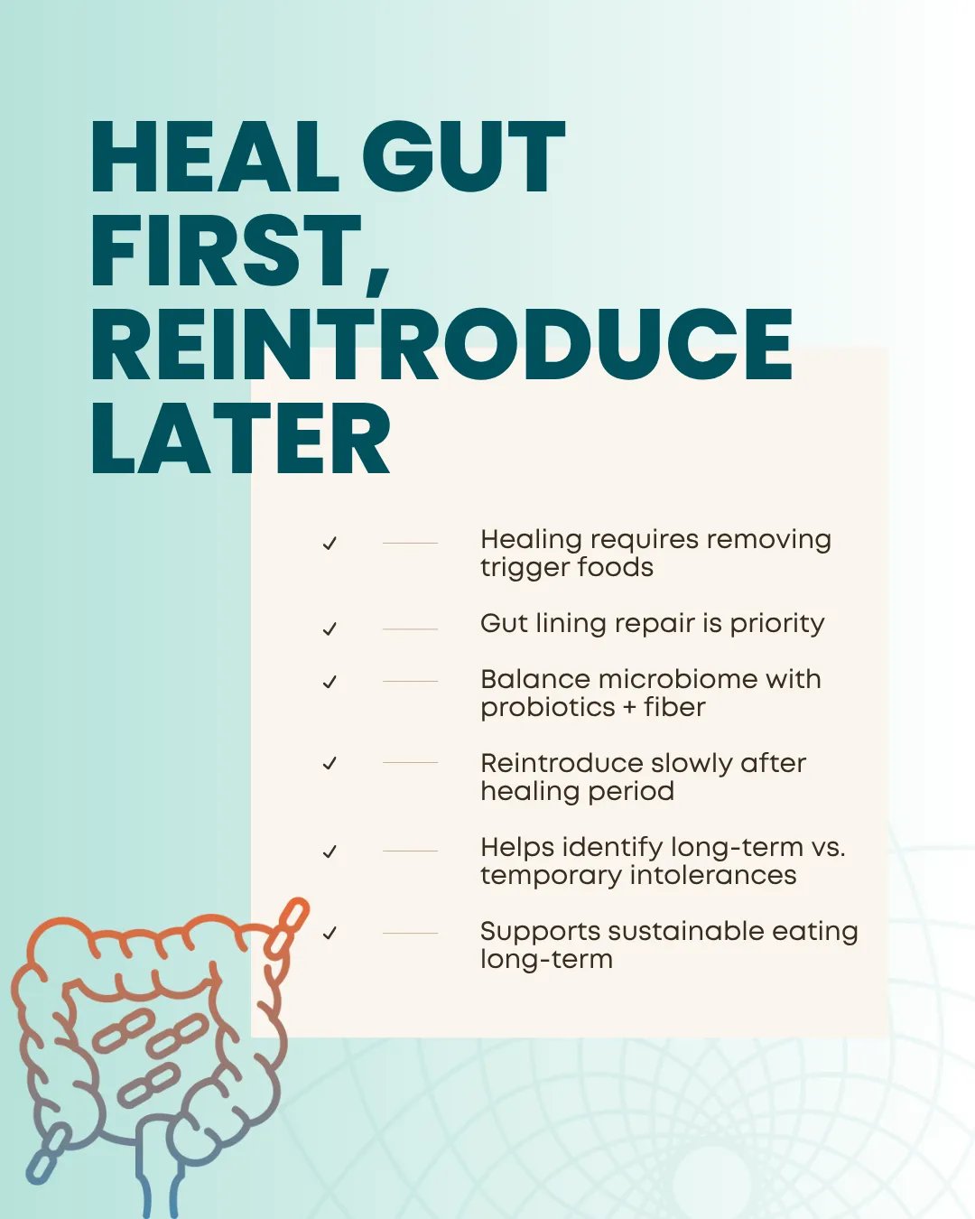 Graphic illustrating steps to heal the gut and food reintroduction.