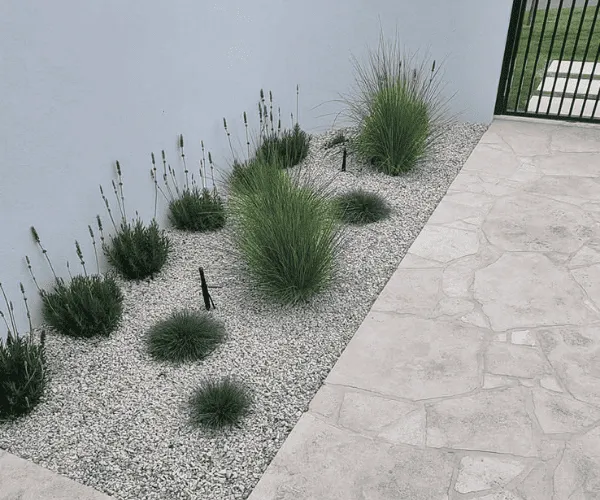 Landscape Design & Planning