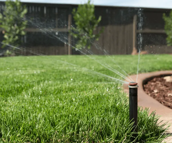 Landscape Design & Planning