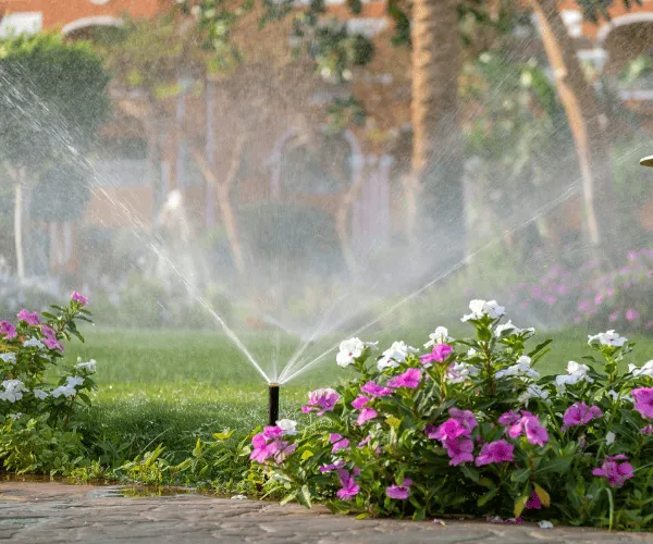 Landscape Design & Planning
