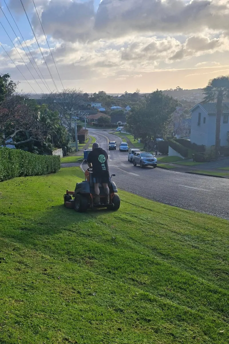 lawn mowing service lawn area in tauranga