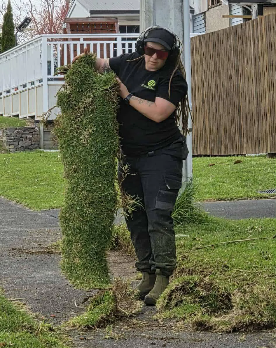 hedge trimming service in tauranga by wtf maintenance