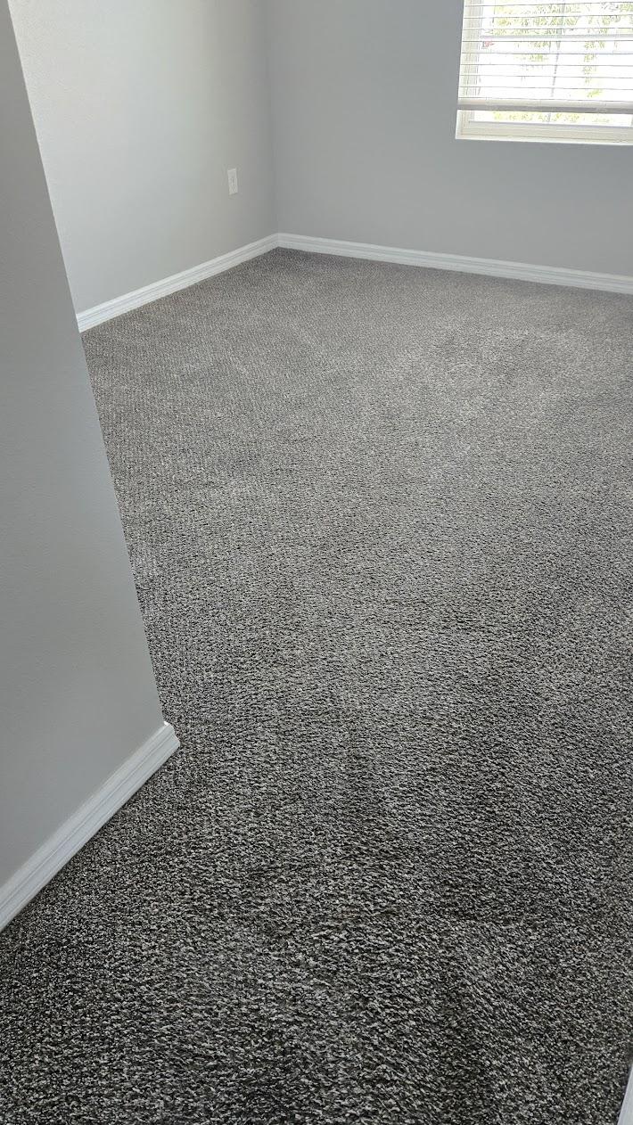 Upholstery Cleaning Land O' Lakes, FL