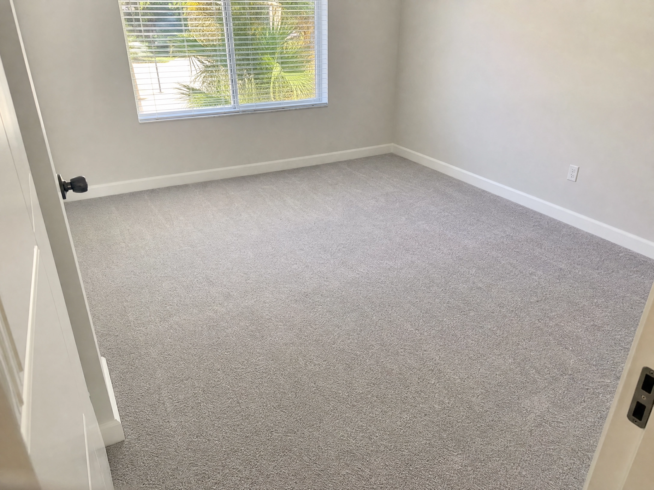 Lutz, FL Carpet Cleaning
