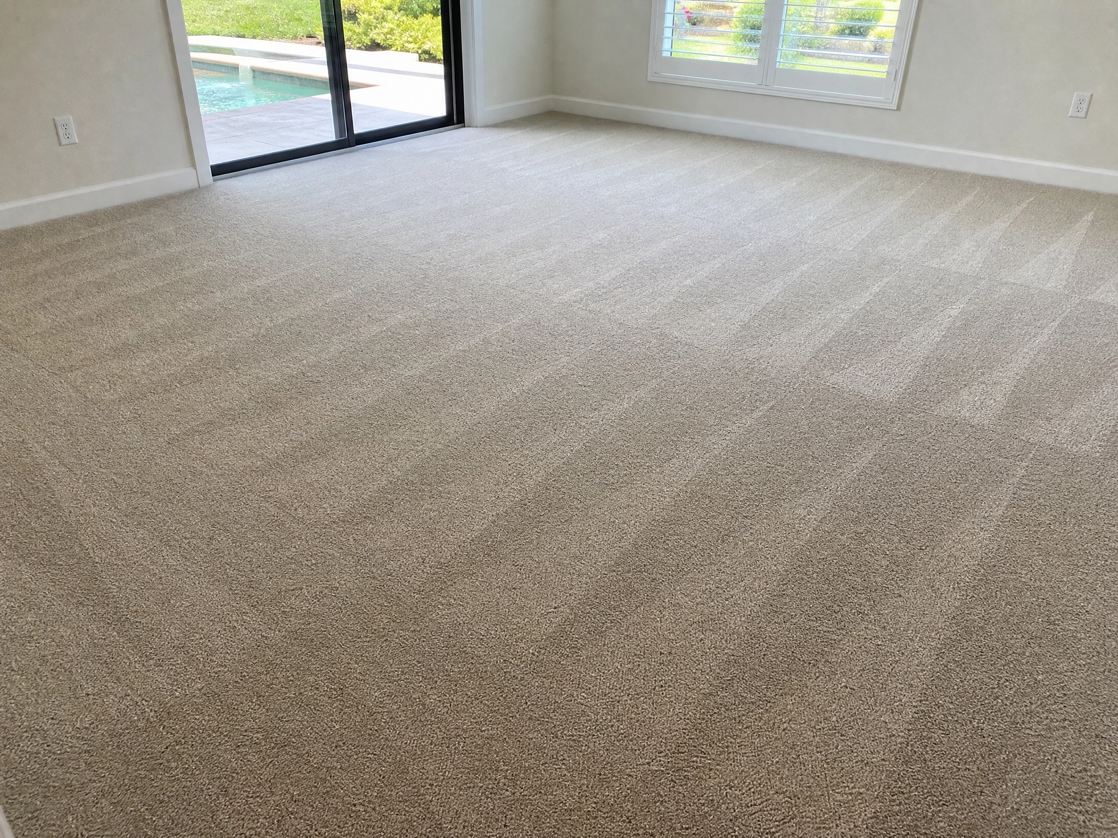 Lutz, FL Carpet Cleaning