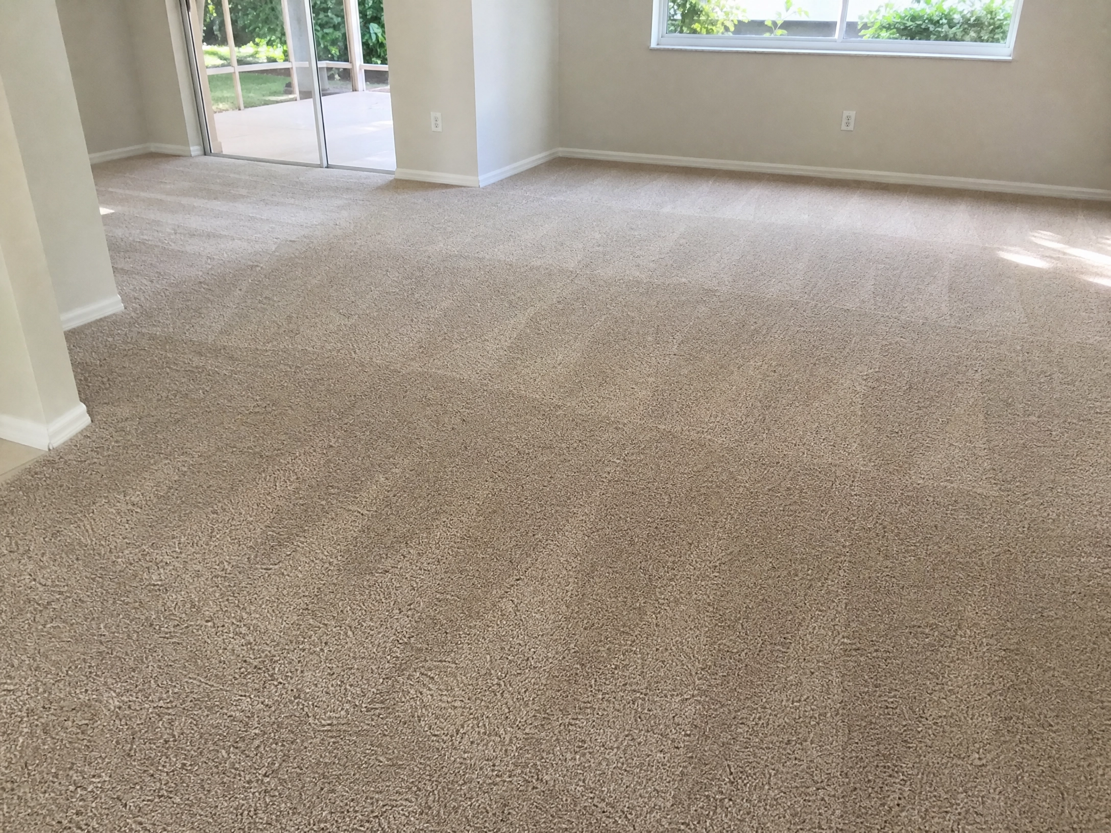 Carpet Cleaning Land O' Lakes, FL