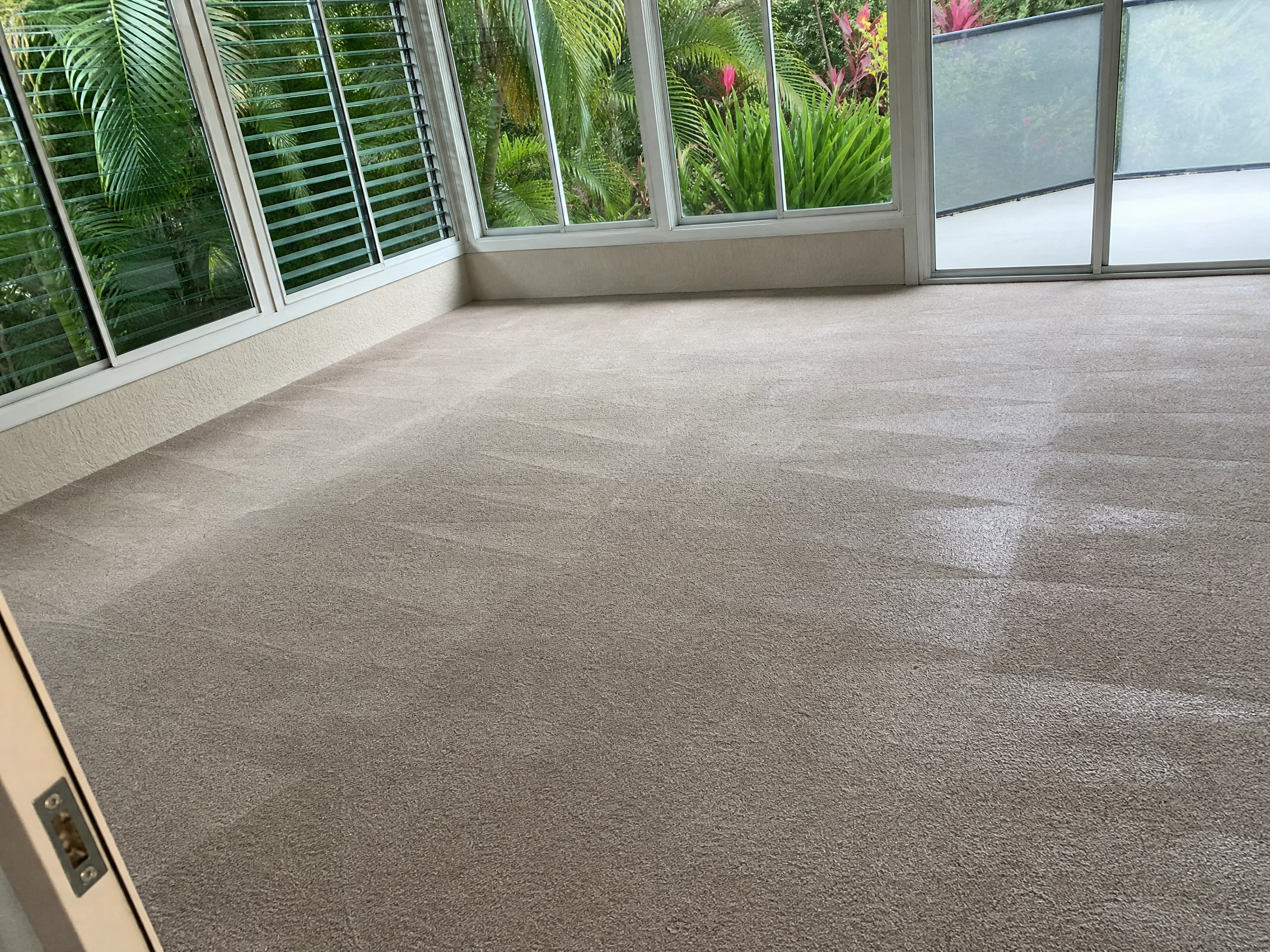 Wesley Chapel, FL Carpet Cleaning