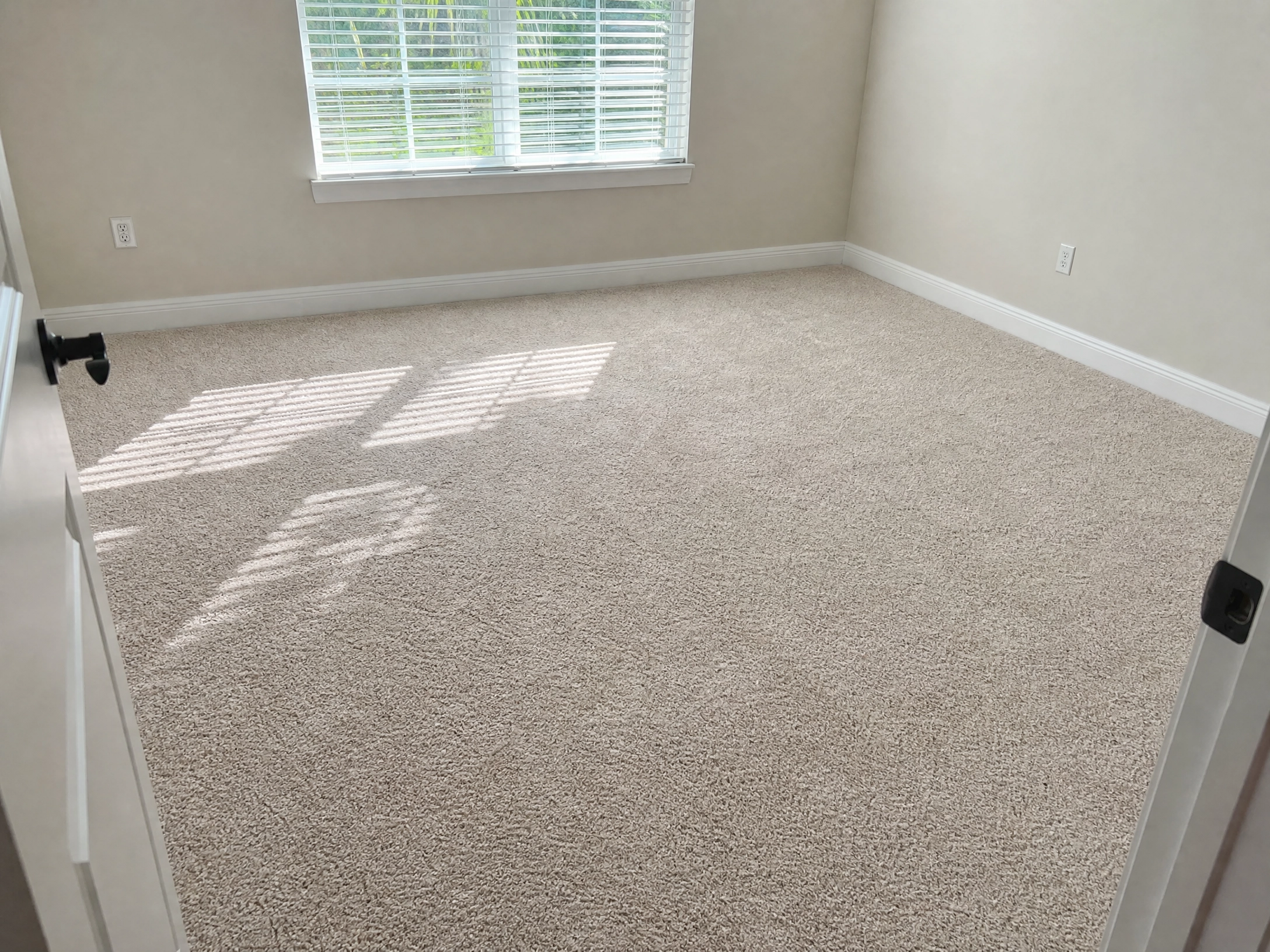 Wesley Chapel, FL Carpet Deodorization
