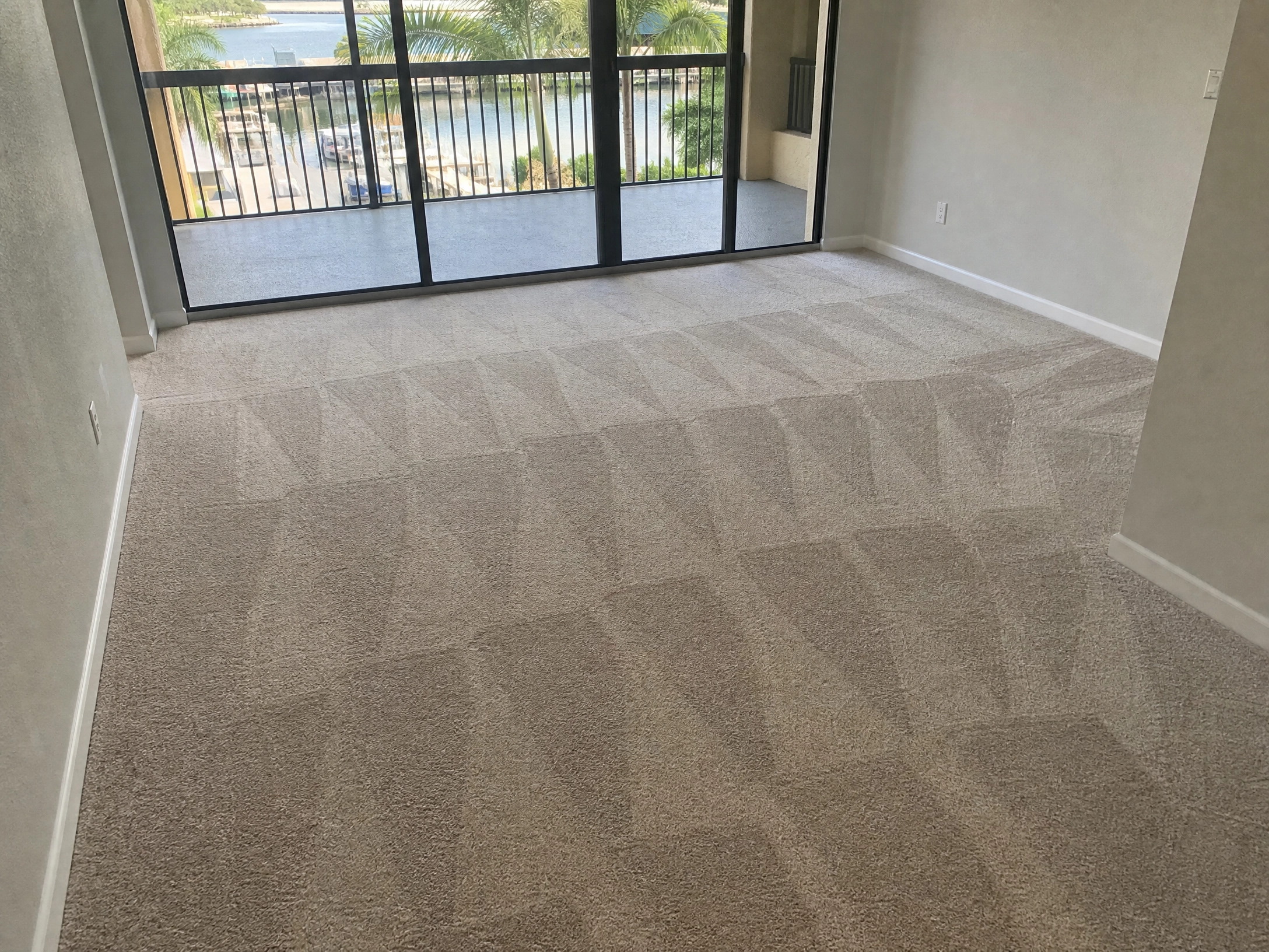 Lutz, FL Carpet Deodorization