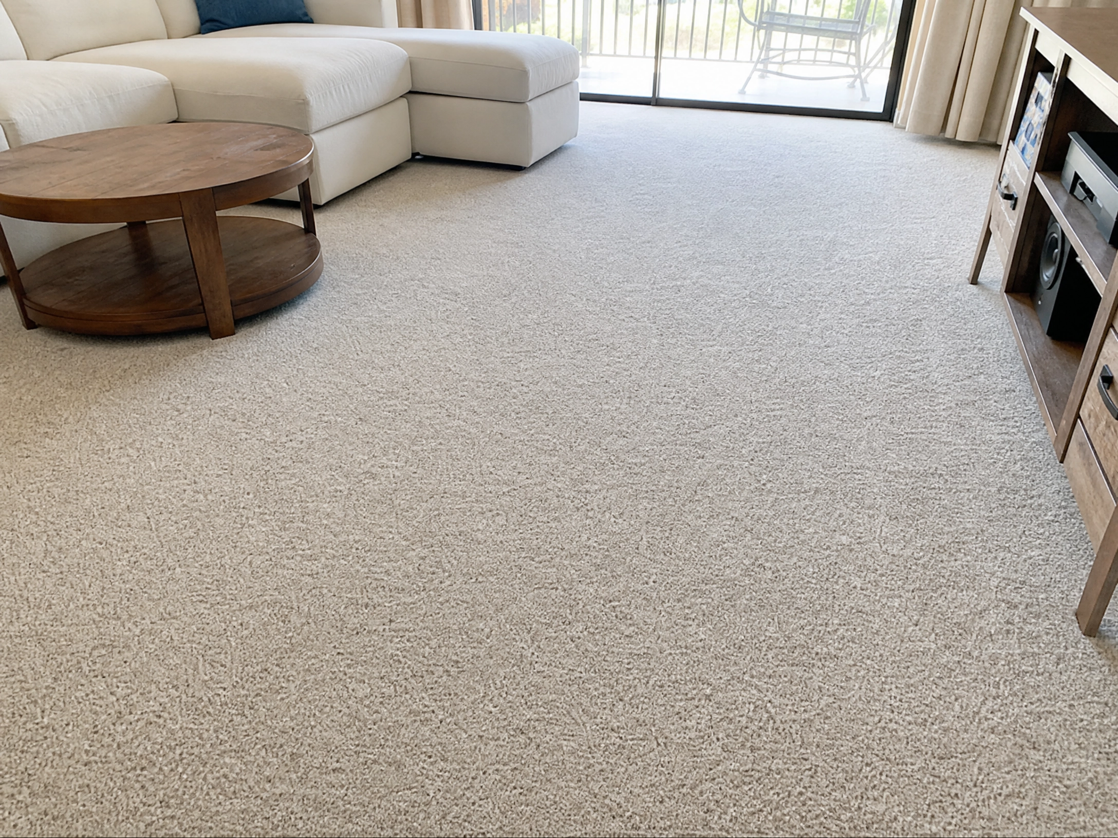 Pet Odor Removal Land O' Lakes, FL