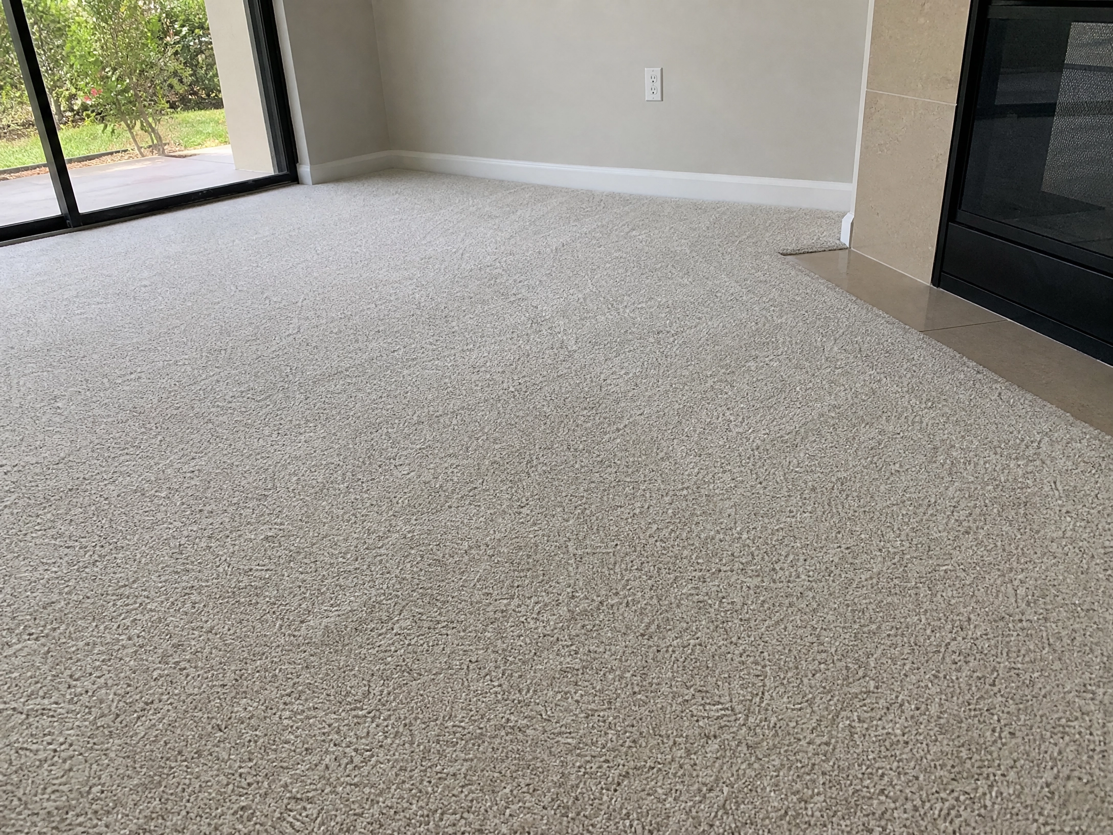 Land O' Lakes, FL Pet Odor Removal