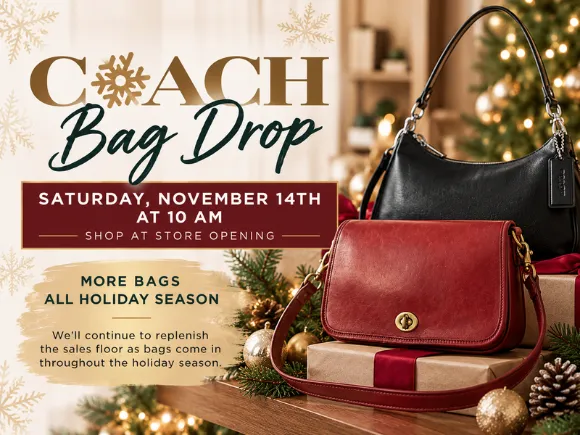 Luxury Handbag Drop November 14
