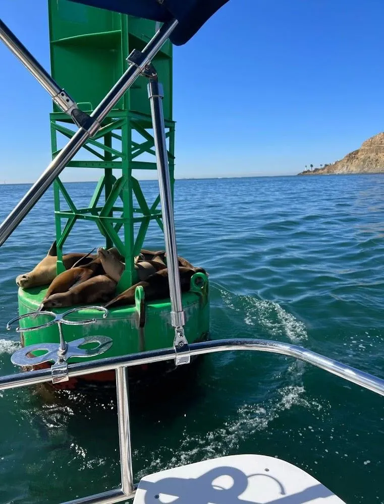 sailboat charters san diego