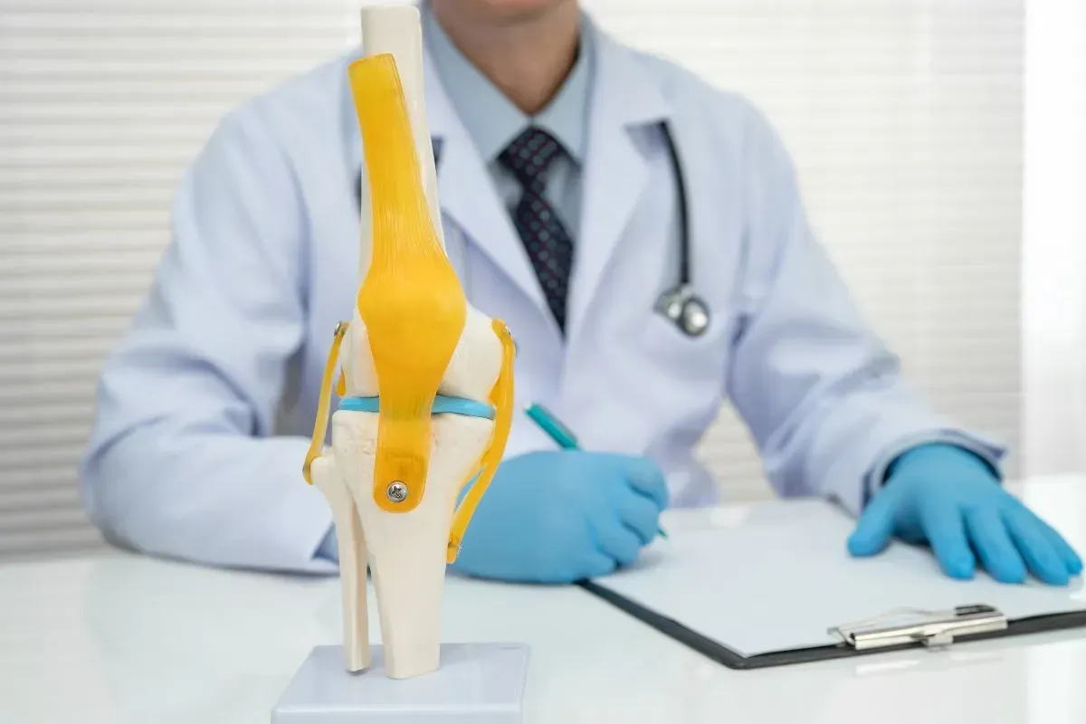 MEDICO COM MODELO ANATOMICO DE JEOLHO